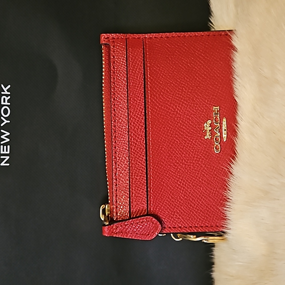 COACH Mini Skinny ID Case